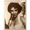 Image 2 : Elizabeth Taylor Photo Print