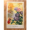 Image 2 : 1920's Color Lithograph Print, Aster