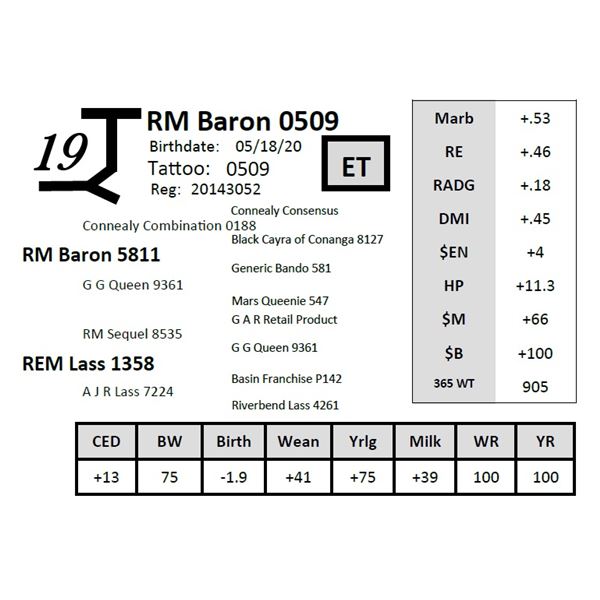 RM Baron 0509