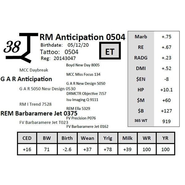 RM Anticipation 0504