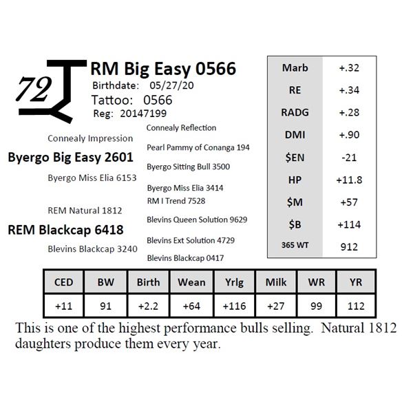 RM Big Easy 0566