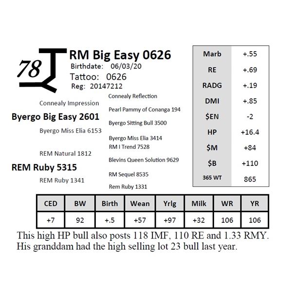 RM Big Easy 0626