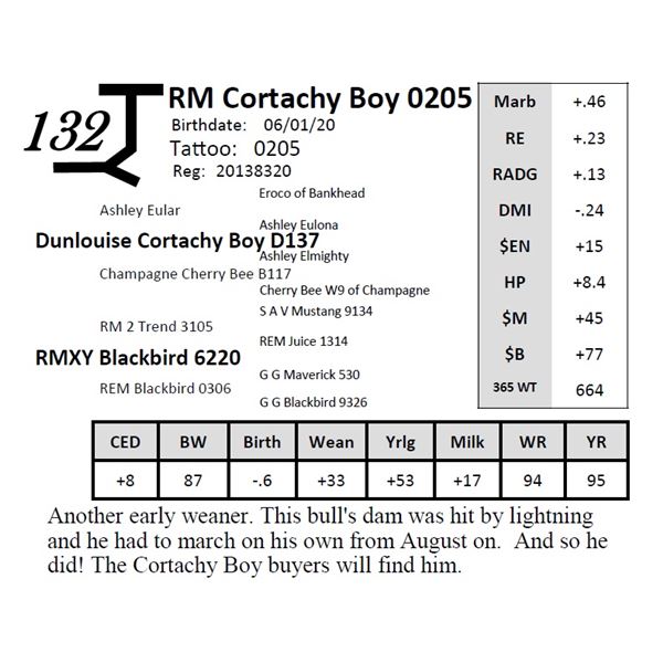 RM Cortachy Boy 0205