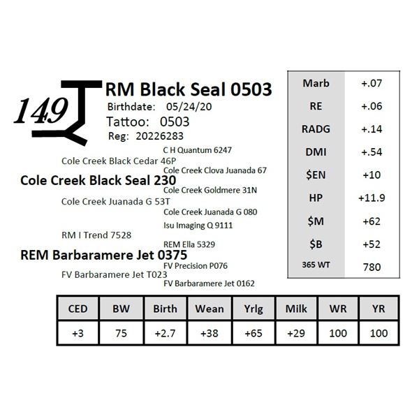 OUT OF SALE - RM Black Seal 0503