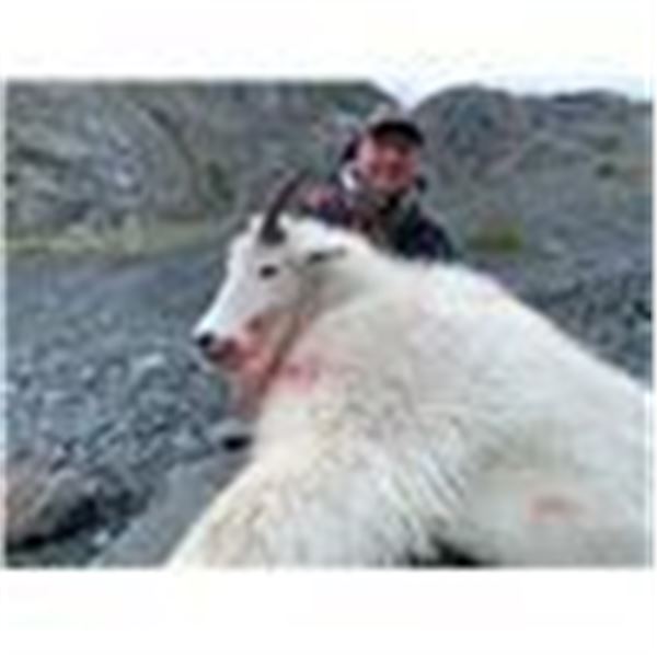 Mountain Goat Hunt in British Columbia