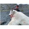 Image 1 : Mountain Goat Hunt in British Columbia