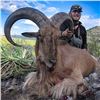Image 1 : West Texas Free Ranging Aoudad