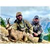 Image 2 : Pyrenean Couples Adventure-Chamois Hunt-includes trophy fee and Wine Tasting