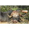 Image 1 : Cape Buffalo Hunt