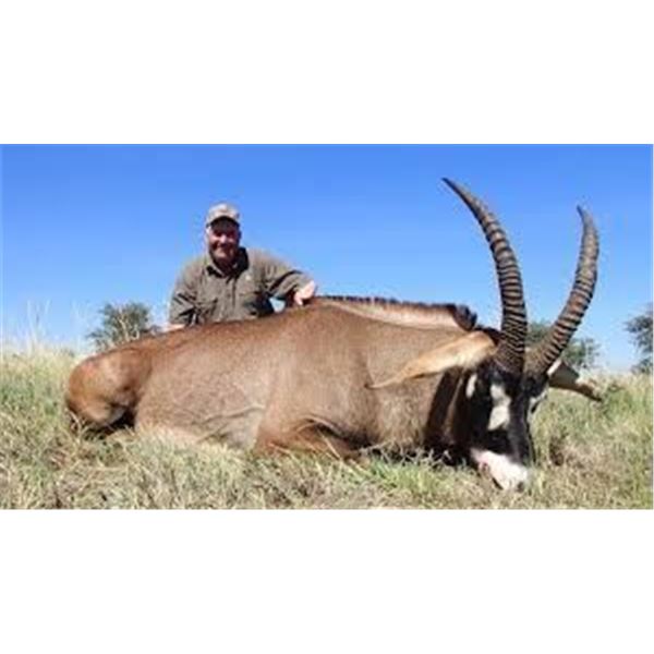 7 Day Roan Hunt in the Eastern Cape of South Africa