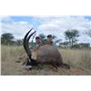 Image 2 : 7 Day Roan Hunt in the Eastern Cape of South Africa