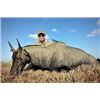 Image 1 : Choice of Nilgai, Scimitar Oryx, or Aoudad for One Hunter