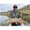 Image 4 : Trout Fishing Float Trip on the World Famous San Juan River, New Mexico for 2 Anglers