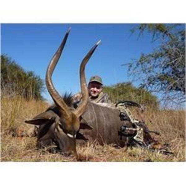 Two Trophy Nyala, Two Night Hunts for Two Hunters plus $1500 Trophy Fee Credit for each Hunter