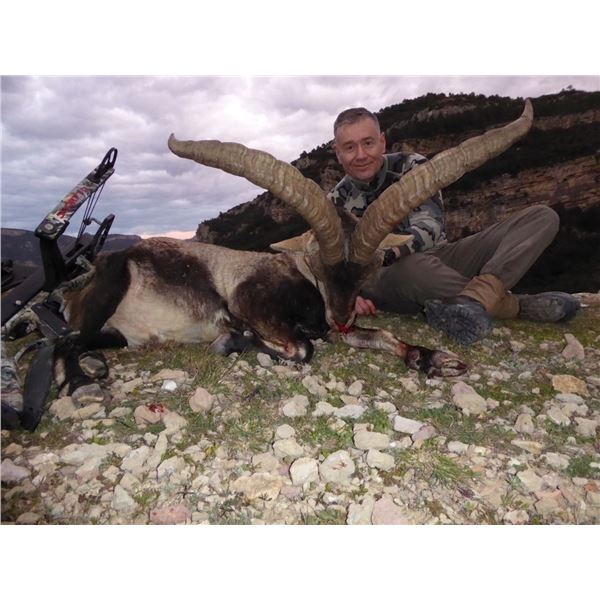 Beceite Ibex for Two Hunters - Includes Trophy Fees