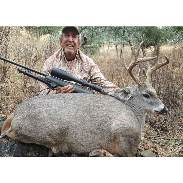 Coues Deer Archery/Crossbow Adventure in Sonora Mexico for One Hunter and one Observer