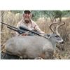 Image 1 : Coues Deer Archery/Crossbow Adventure in Sonora Mexico for One Hunter and one Observer