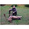 Image 2 : Wild Boar Hunting in Poland