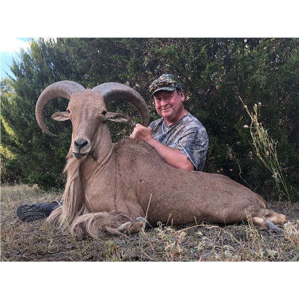 Hunter's Choice: Sika Stag, Aoudad Ram, or Mouflon Ram