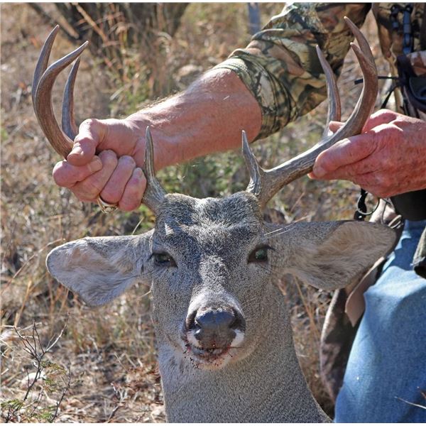 Arizona Coues Deer Adventure for Two Hunters, Mountain Lion Trophy Fee Included