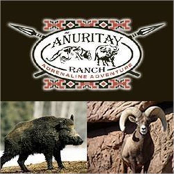 Argentina Wild Boar, Multi-Horned Ram and Goat for 2 Hunters