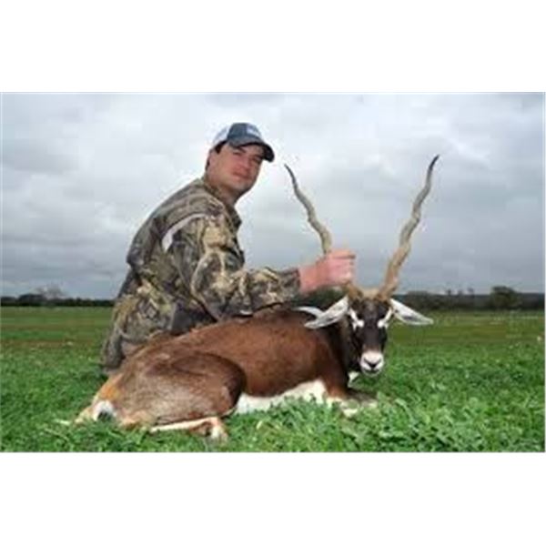 Texas Blackbuck Hunt