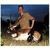 Image 2 : Texas Blackbuck Hunt