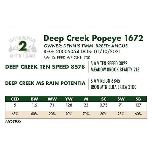 Deep Creek Popeye 1672