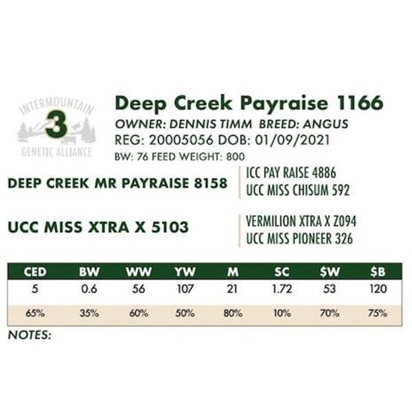 Deep Creek Payraise 1166