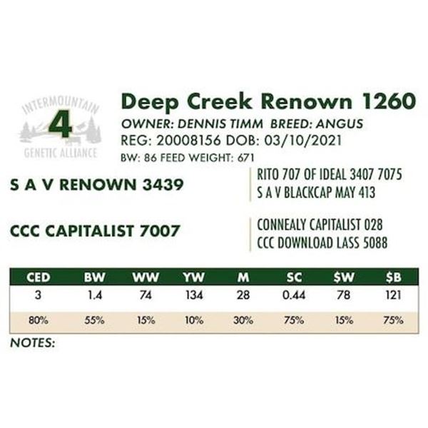 Deep Creek Renown 1260
