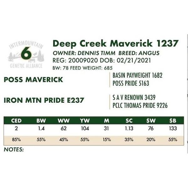 Deep Creek Maverick 1237