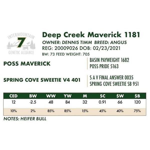 Deep Creek Maverick 1181