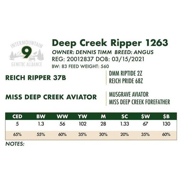 Deep Creek Ripper 1263