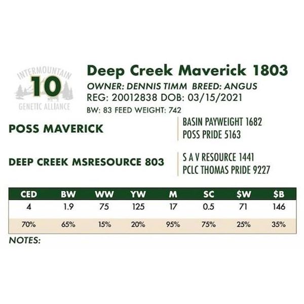 Deep Creek Maverick 1803