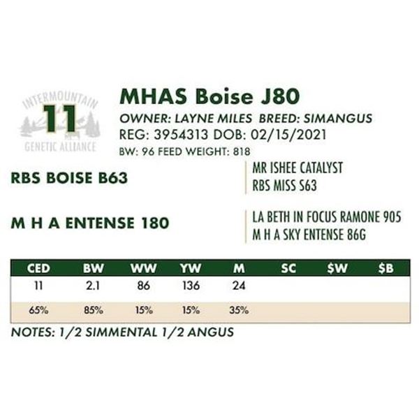 MHAS Boise J80