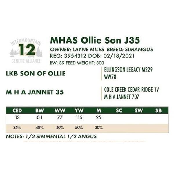MHAS Ollie Son J35
