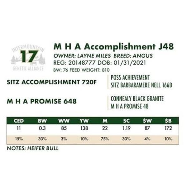 M H A Accomplishment J48