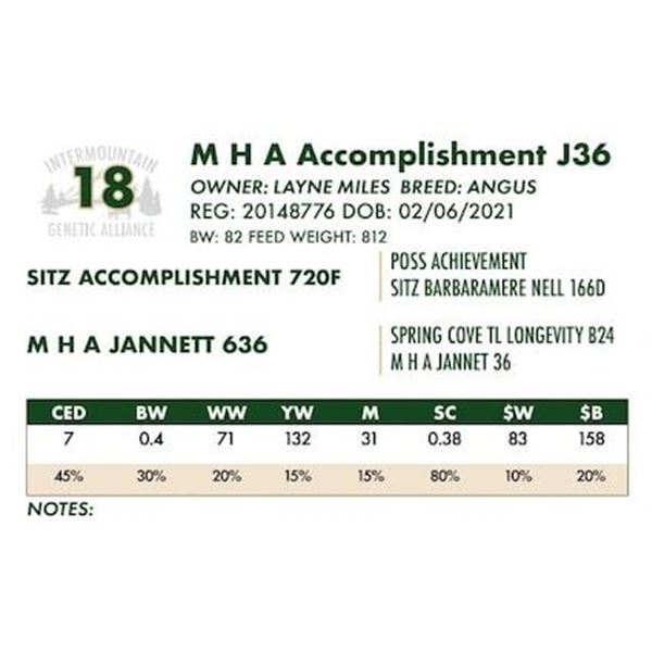 M H A Accomplishment J36