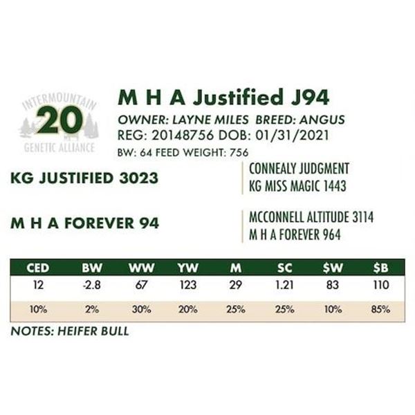 M H A Justified J94