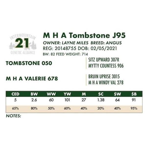 M H A Tombstone J95
