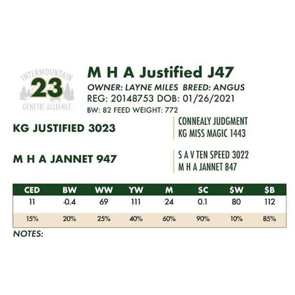 M H A Justified J47