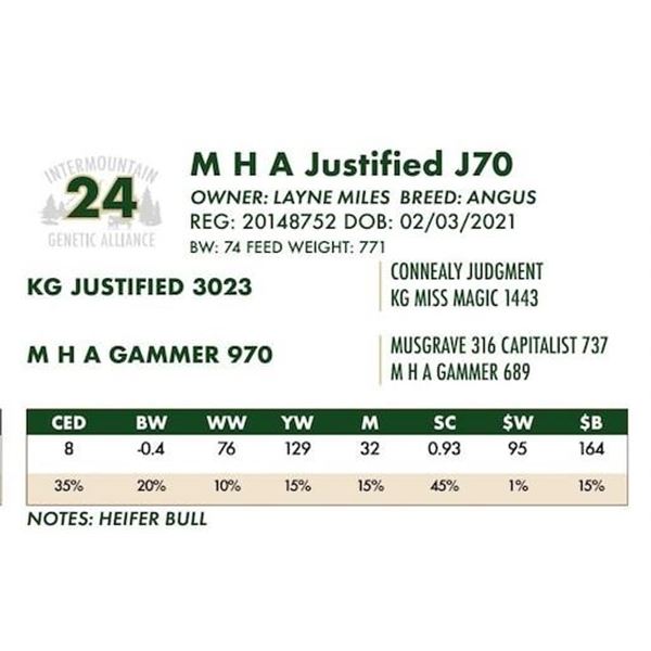M H A Justified J70
