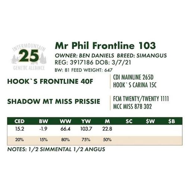 Mr Phil Frontline 103