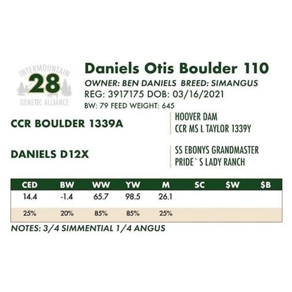 Daniels Otis Boulder 110