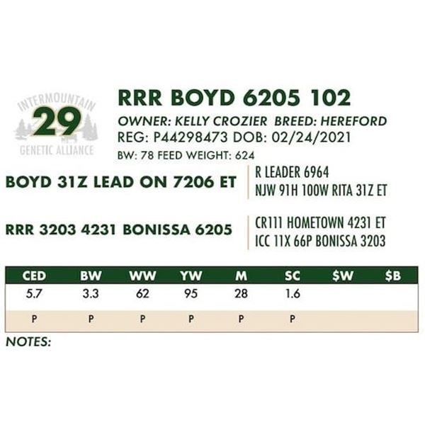 RRR BOYD 6205 102