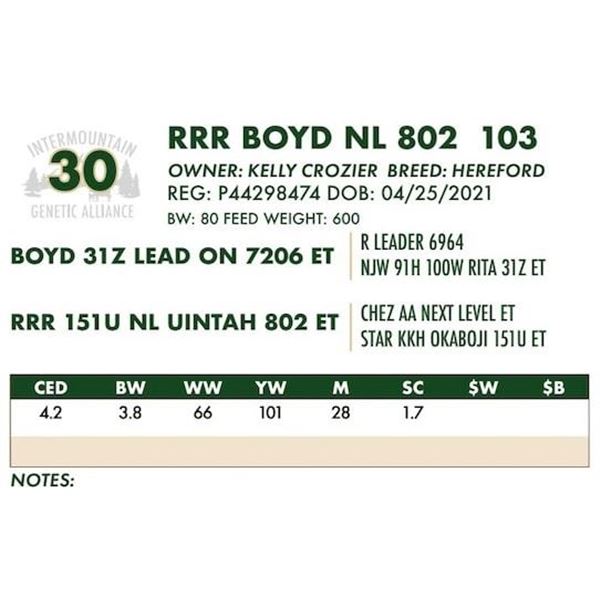 RRR BOYD NL 802 103