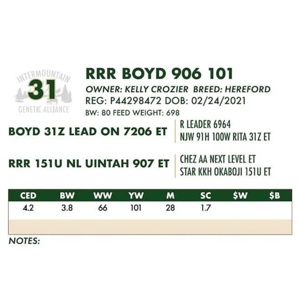 RRR BOYD 906 101