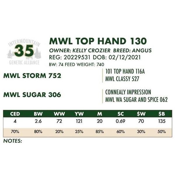 MWL TOP HAND 130