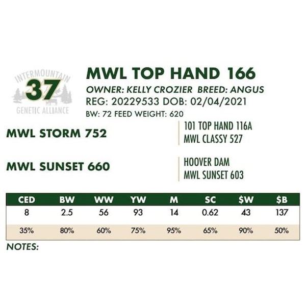 MWL TOP HAND 166