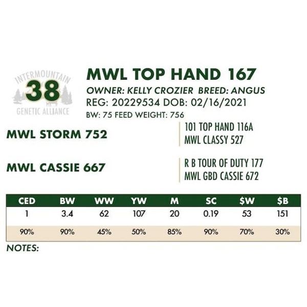 MWL TOP HAND 167
